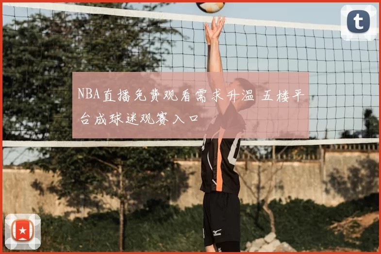 NBA直播免费观看需求升温 五楼平台成球迷观赛入口