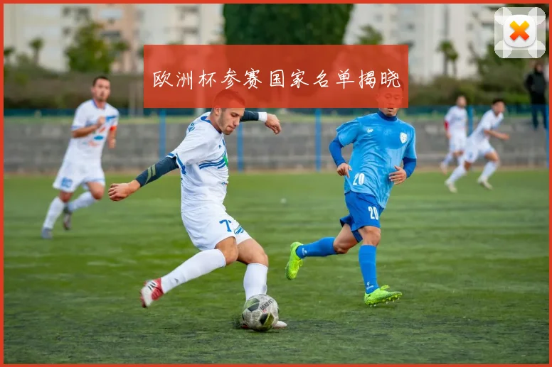 欧洲杯参赛国家名单揭晓