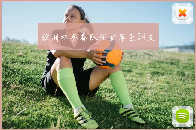 欧洲杯参赛队伍扩军至24支