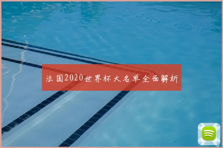 法国2020世界杯大名单全面解析