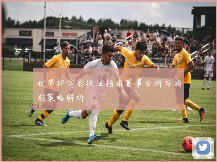 世界杯体彩投注指南赛事分析与购彩策略解析
